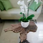 Apartman Royal Varos Split