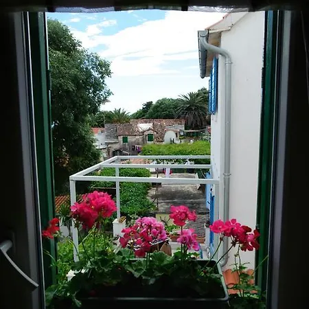 Apartmán Royal Varos