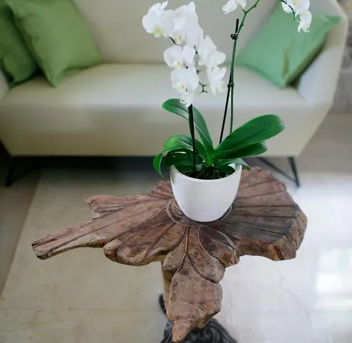 Lejlighed Royal Varos Split